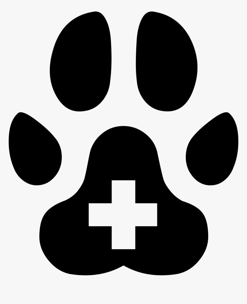 Veterinarian Hospital - Veterinary Medicine, HD Png Download, Free Download