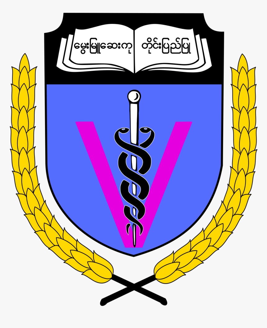 University Of Medicine, Magway, HD Png Download, Free Download