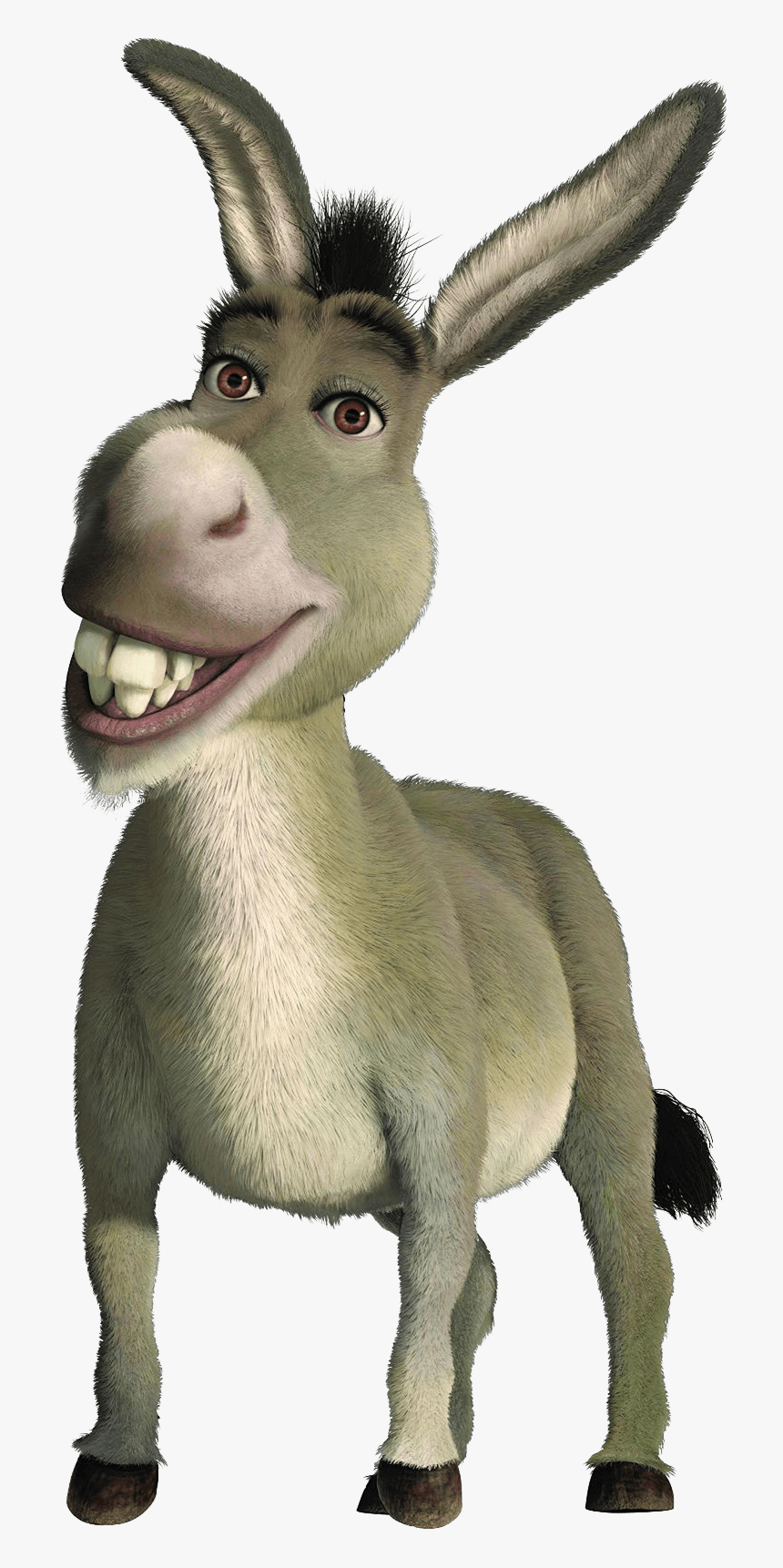 Donkey - Donkey Shrek, HD Png Download, Free Download