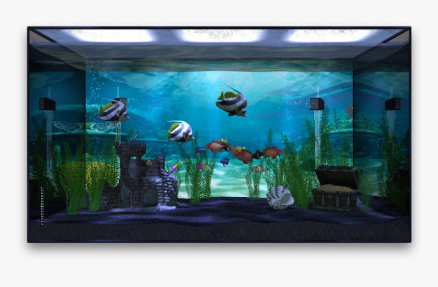 Aquarium En Apple Tv - Transparent Background Fish Tank Png, Png Download, Free Download