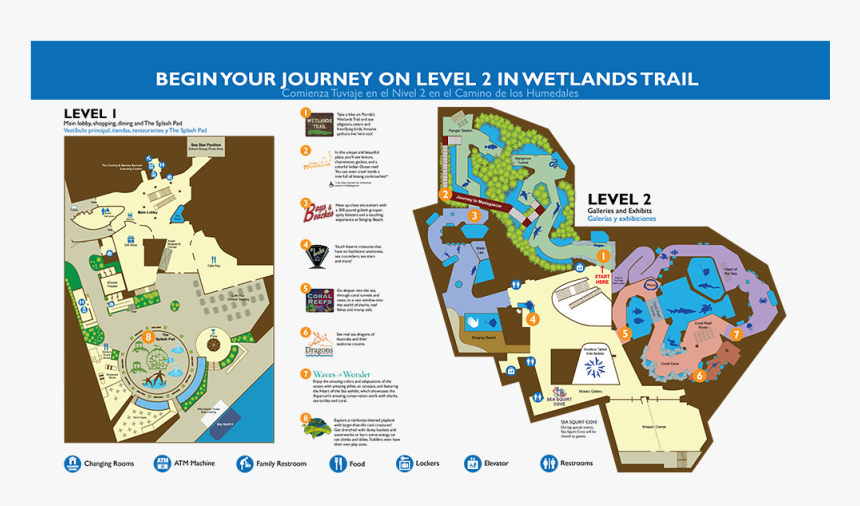 A Dynamic Map Layout Of The Florida Aquarium"s Downtown - Florida Aquarium Exhibit Map, HD Png Download, Free Download