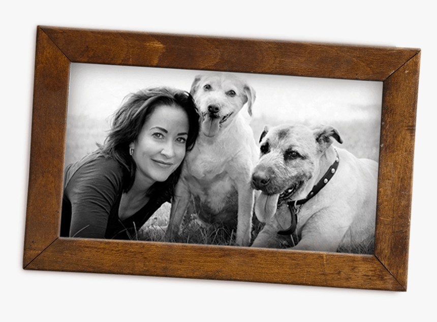 Marie Moody Stella And Chewy, HD Png Download - kindpng