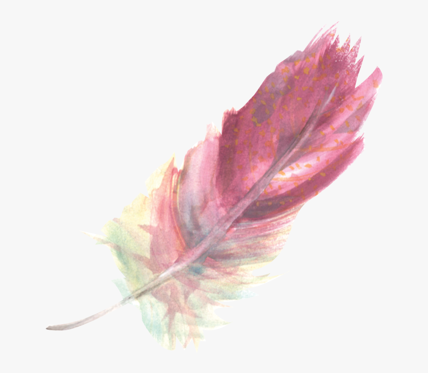 Maple Leaf, HD Png Download, Free Download