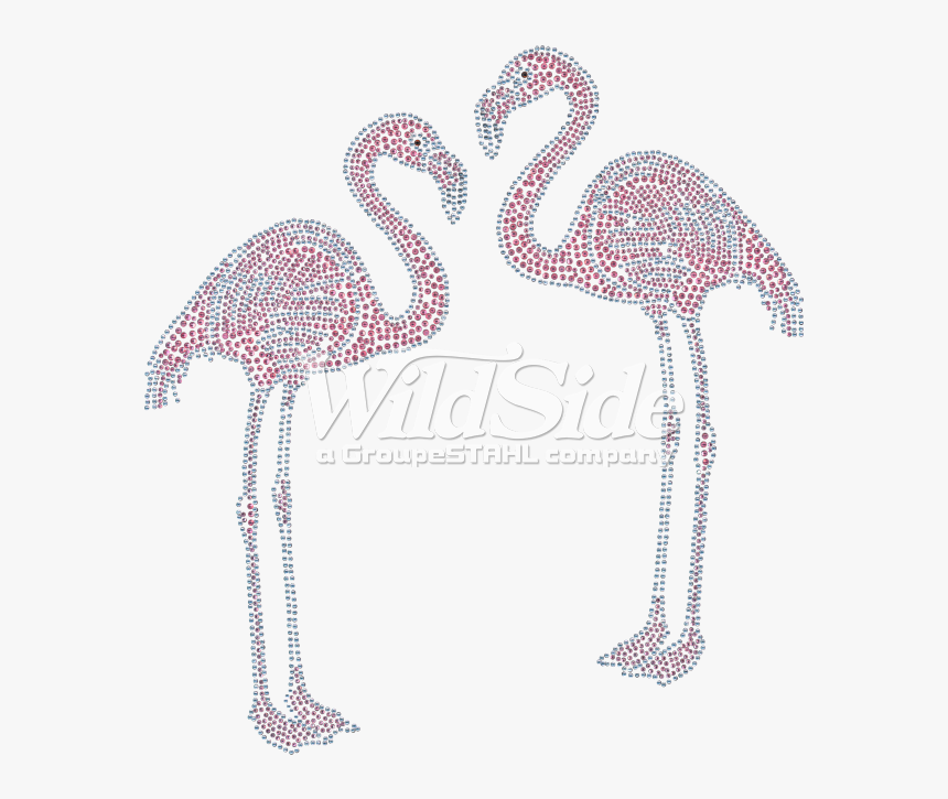 Greater Flamingo , Png Download - Greater Flamingo, Transparent Png, Free Download