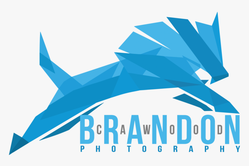 Brandon Cawood Photography Logo Full Color - Graphic Design, HD Png Download, Free Download