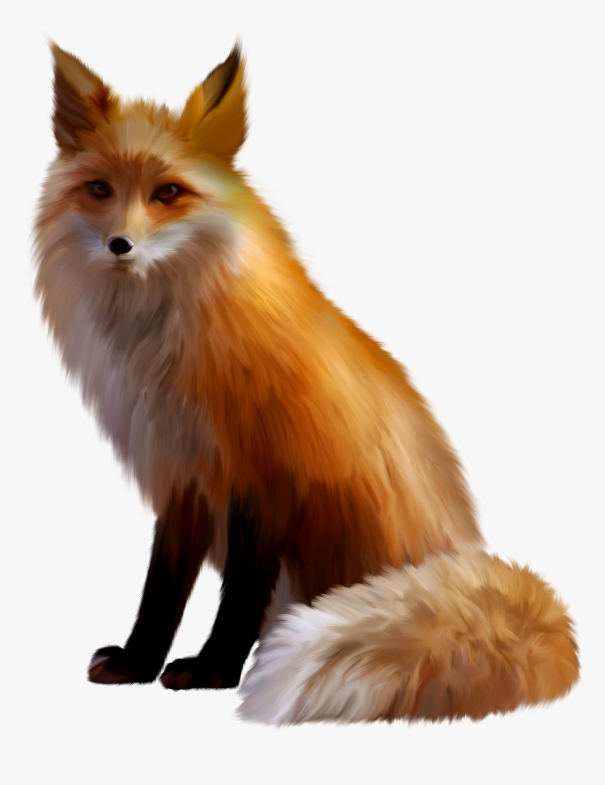 Fox Png - Fox Transparent, Png Download, Free Download