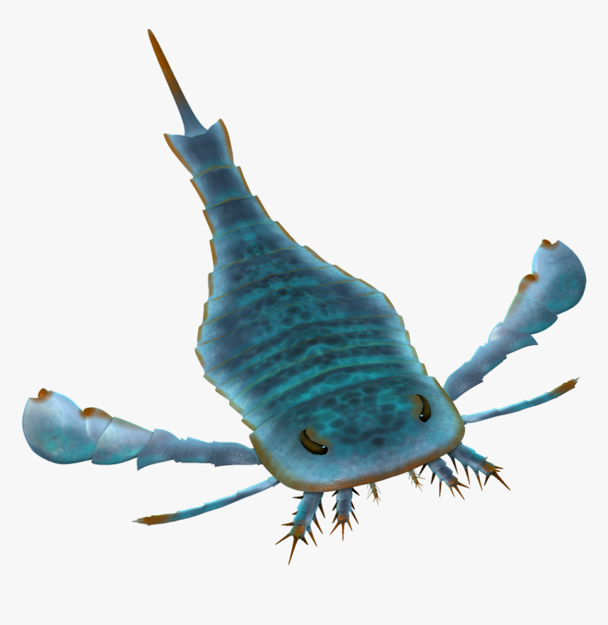 Eurypterus Paleoart - Eurypterid Transparent Background, HD Png Download, Free Download