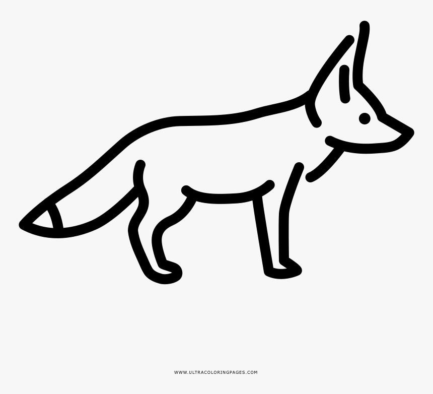 bat eared fox drawing