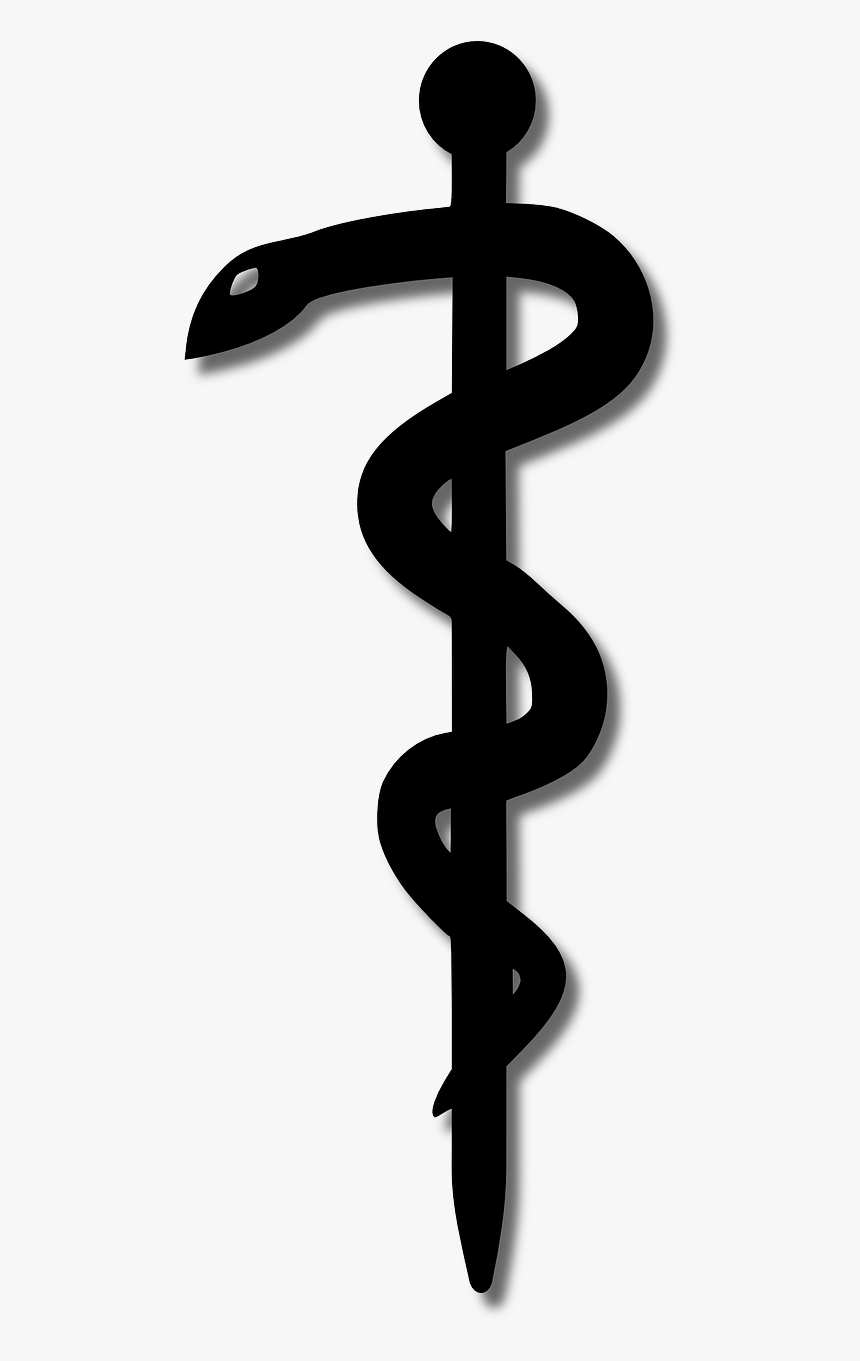 Transparent Rod Of Asclepius Png - Official Usa Federal Government Logo,  Png Download, png download, transparent png image | PNG.ToolXoX.com