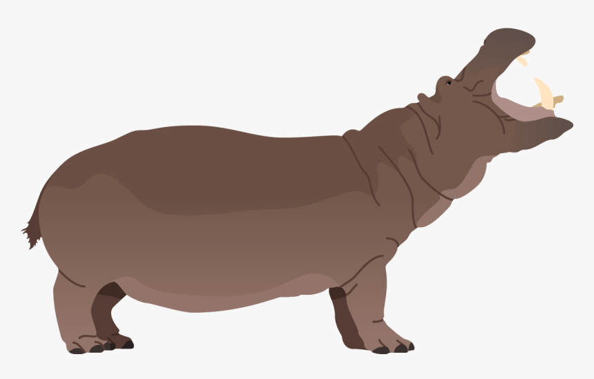 Hippopotamus, HD Png Download, Free Download