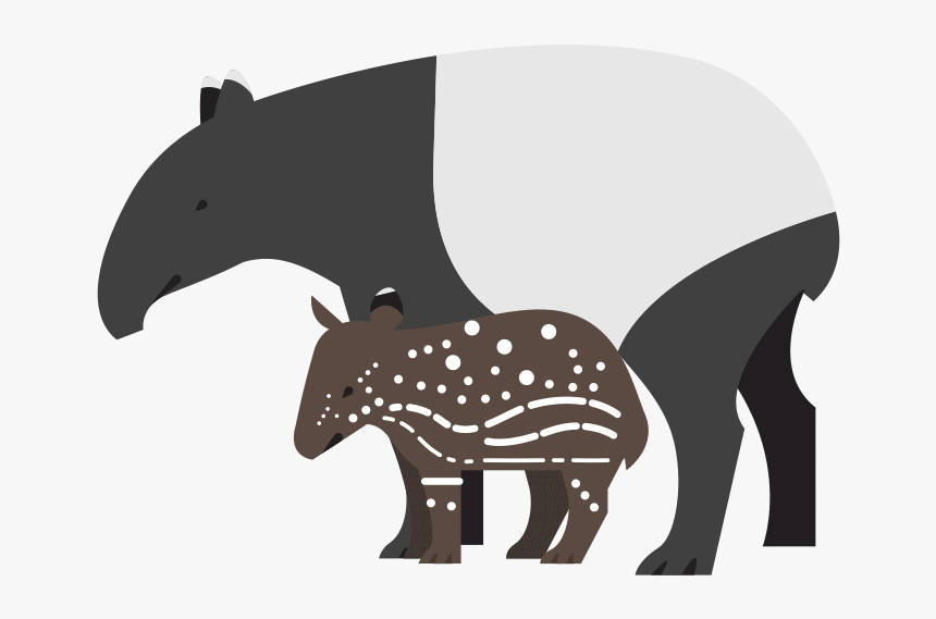 Tapir Clipart Denver Zoo Hippopotamus Clip Art - Tapir Transparent Background, HD Png Download, Free Download