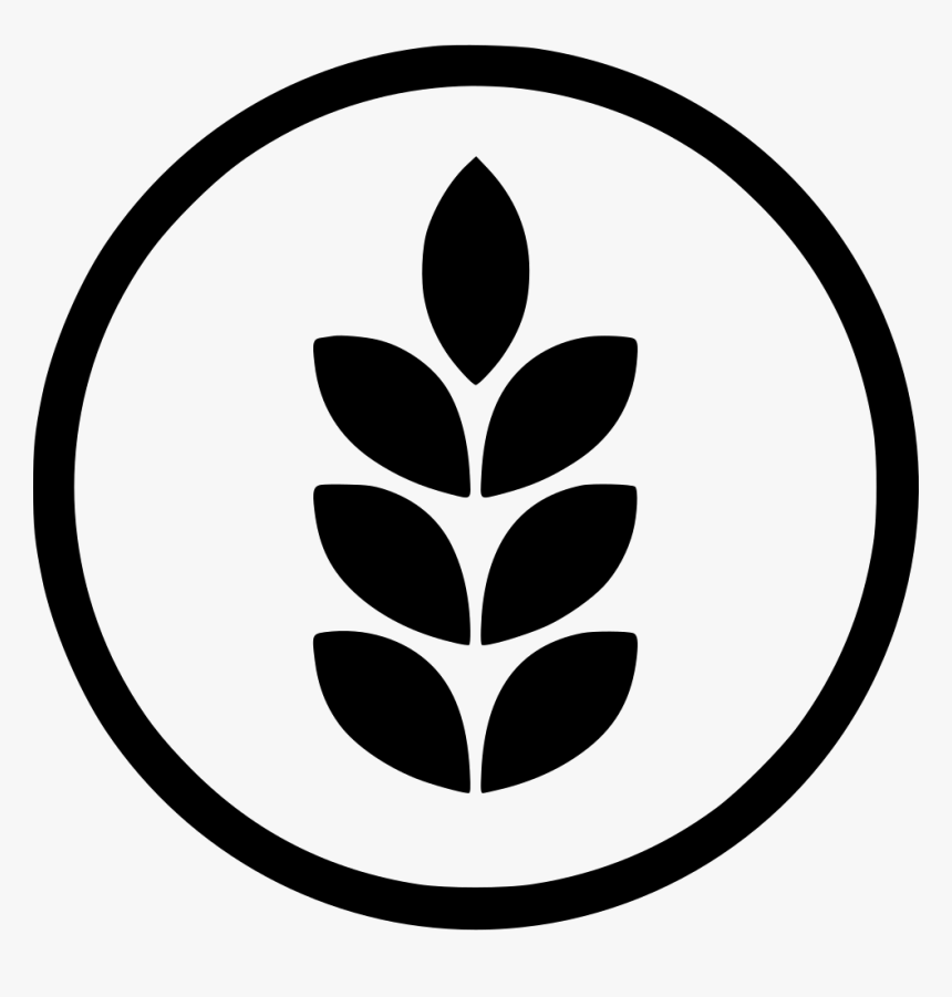 Gluten - Gluten Free Png, Transparent Png, Free Download