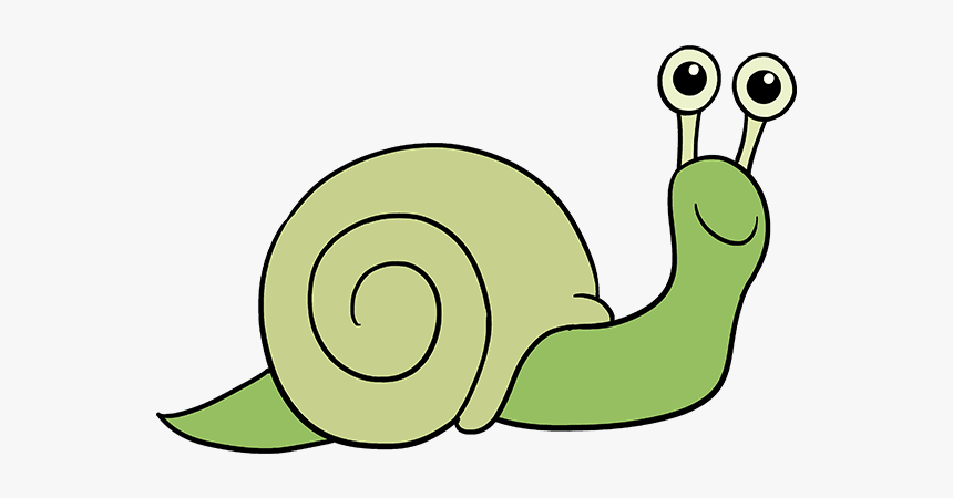 How To Draw A Snail - Lymnaeidae, HD Png Download, Free Download