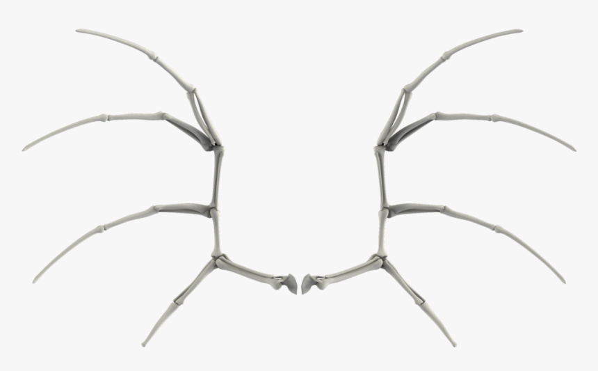 Bone Wings Png - Portable Network Graphics, Transparent Png, Free Download