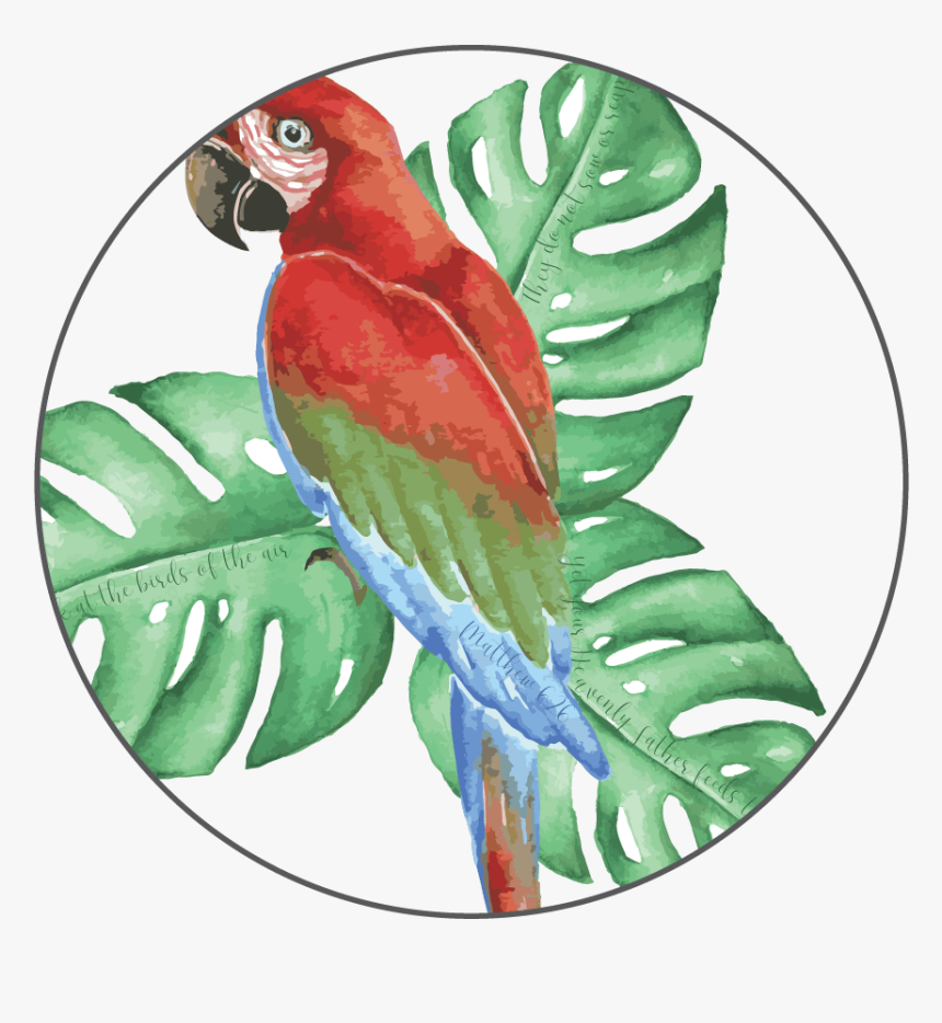 Mug With Tropical Bird"
 Class= - Macaw, HD Png Download, Free Download