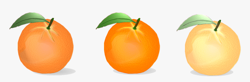 Citrus, HD Png Download, Free Download