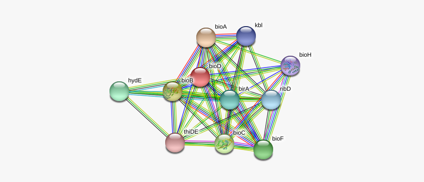 Biod Protein - Circle, HD Png Download, Free Download