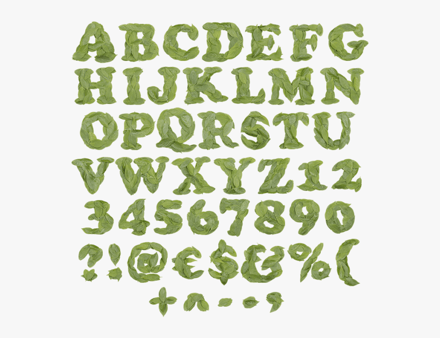 Cooper Leaf Green Font - Aperture 70s, HD Png Download, Free Download