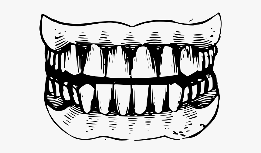 Gritted Teeth Black And White Vector Illustration Teeth Clipart Black
