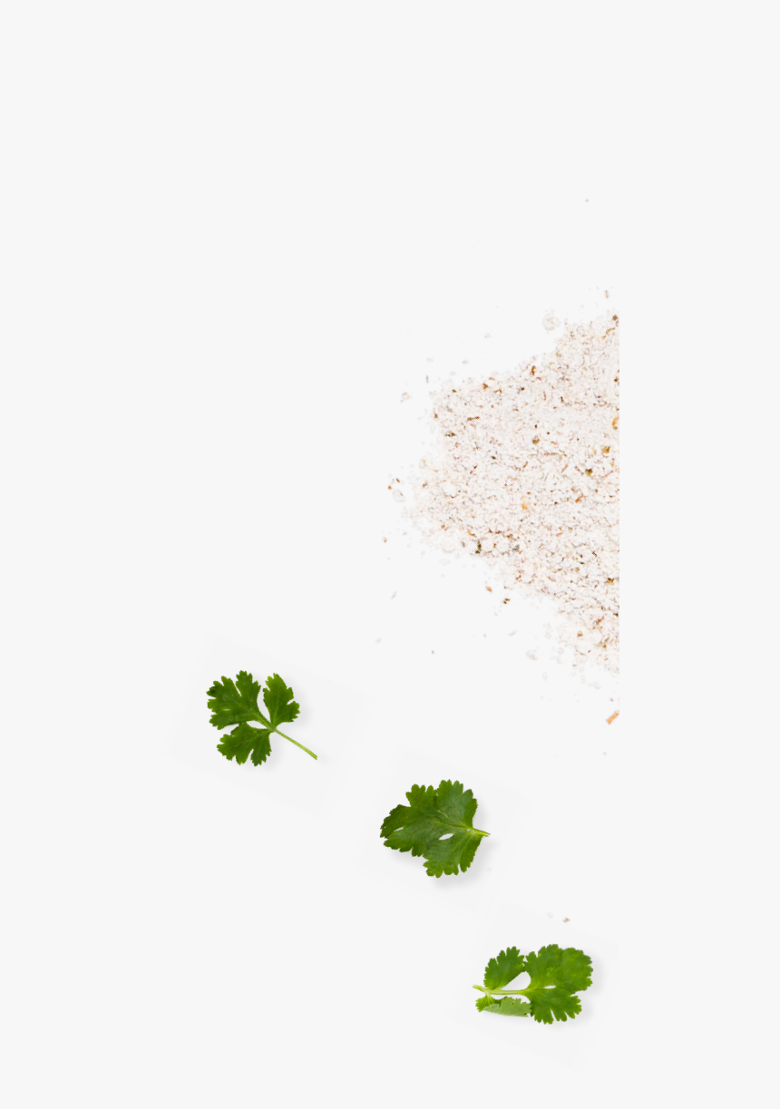 Background Aesthetic Has No Informational Purpose - Parsley, HD Png Download, Free Download