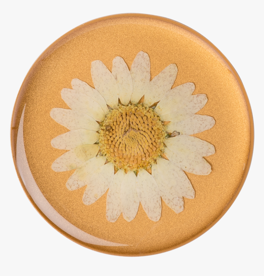 Pop Socket Pressed Flower, HD Png Download, Free Download