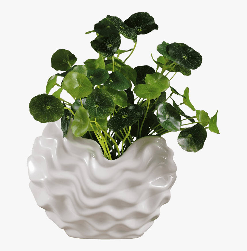 Flowerpot, HD Png Download, Free Download