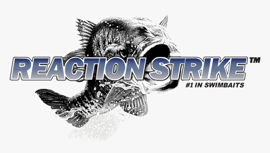 Reaction Strike, HD Png Download, Free Download