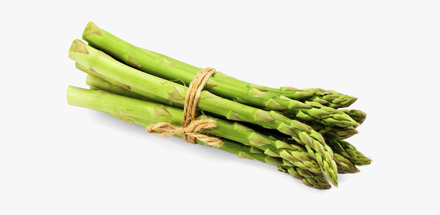 Asparagus Png File - Asparagus Png, Transparent Png, Free Download