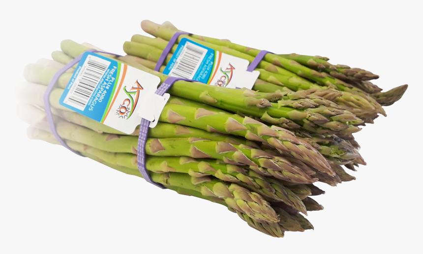 Asparagus, HD Png Download, Free Download