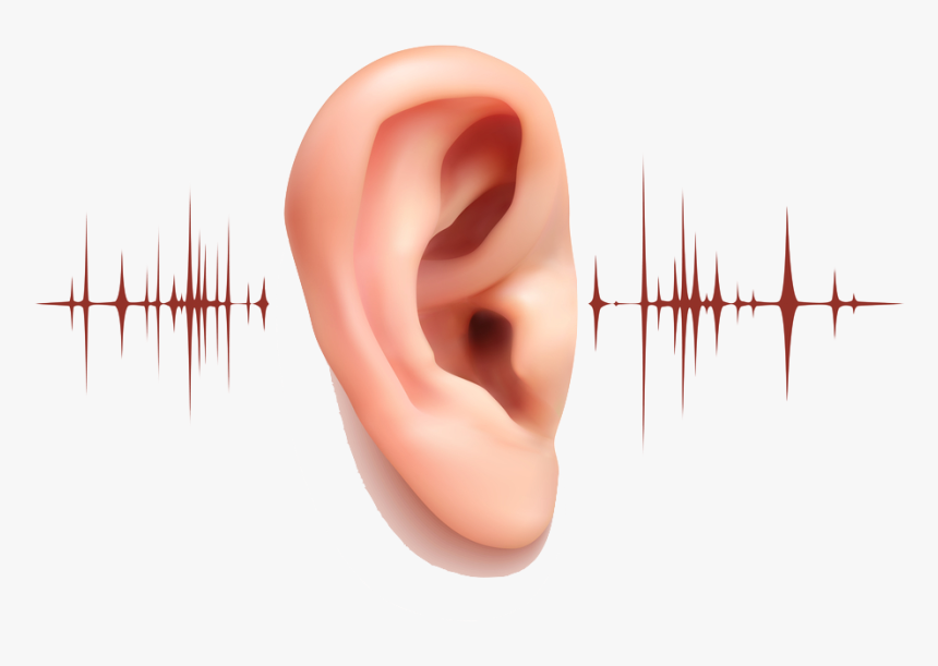 Image - 5 Ways To Take Care Of Your Ears, HD Png Download, Free Download