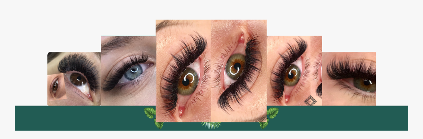 Gallery Eye-lashes - Eyelash Extensions, HD Png Download, Free Download