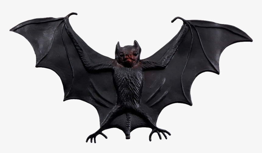 Scary Bat, HD Png Download, Free Download