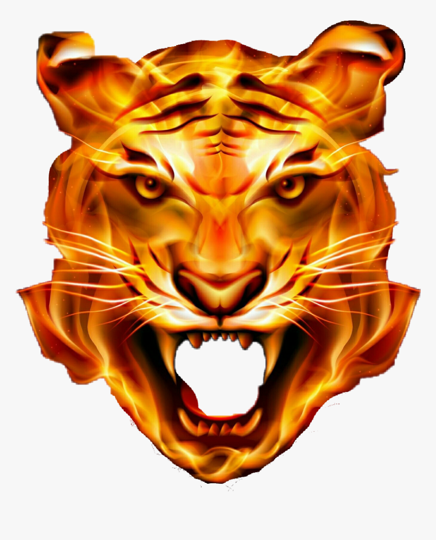 Lion Tiger Fire Angry Tiger Face Png Transparent Png Kindpng