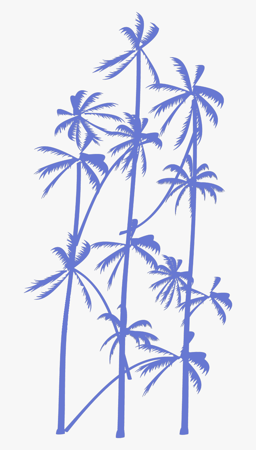 Palmtree-vector - Silhouette, HD Png Download, Free Download