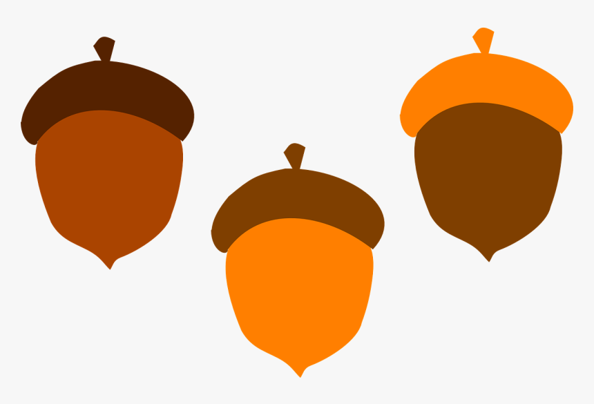 Acorns Clipart, HD Png Download, Free Download