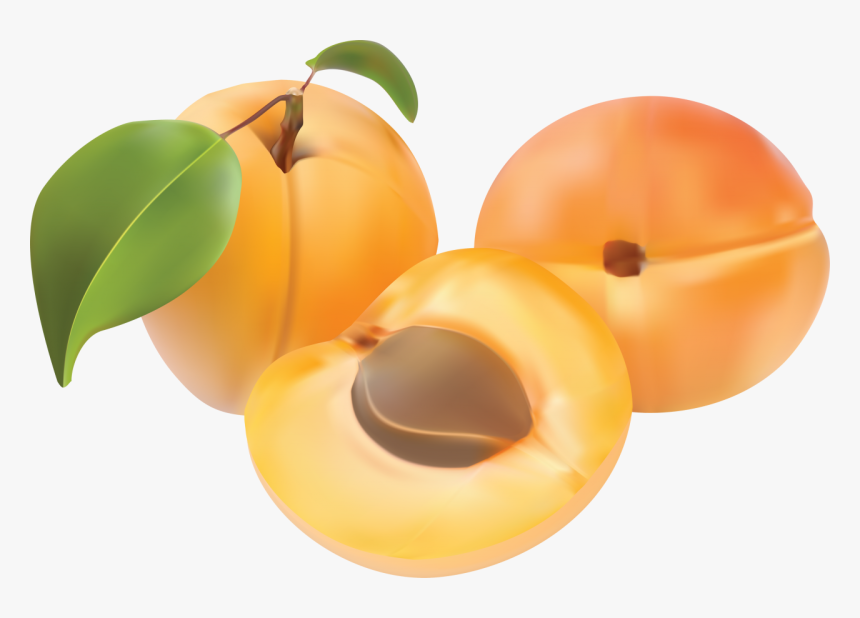 Peaches Png Image Abricot Fruit Clipart Transparent Png Kindpng