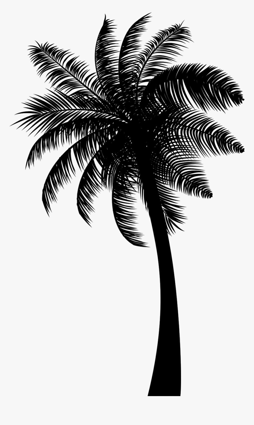 Black Coconut Tree Png Free Download - Coconut Tree Png Black ...