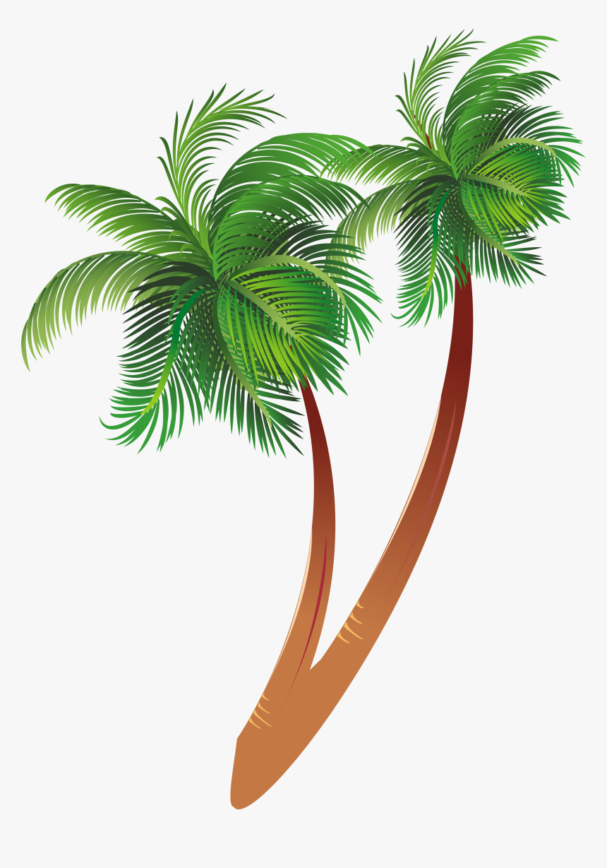 Free Download Cartoon Palm Tree Clipart Coconut Palm - Transparent