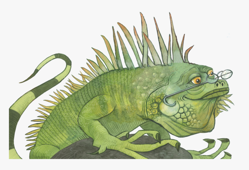 Iguana, HD Png Download, Free Download