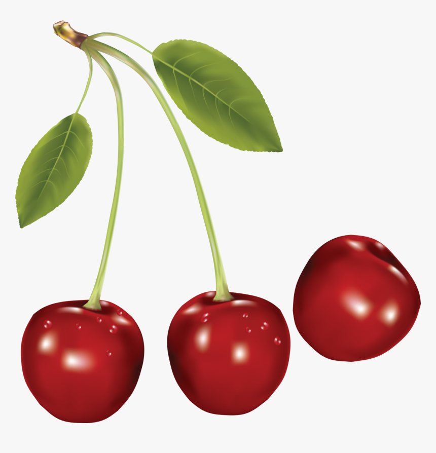 Cherries Png Image - Cherry Png, Transparent Png, Free Download