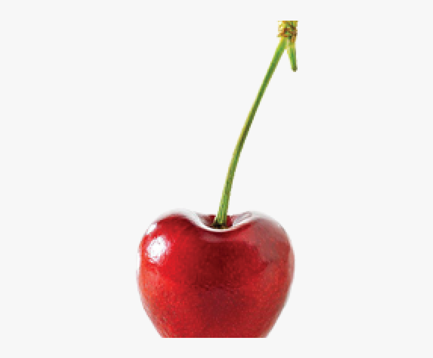 Cherry, HD Png Download, Free Download