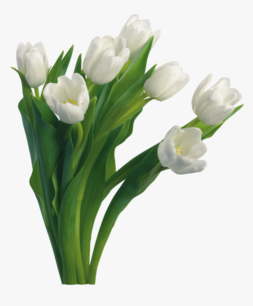 Bouquet With Transparent Background, HD Png Download, Free Download