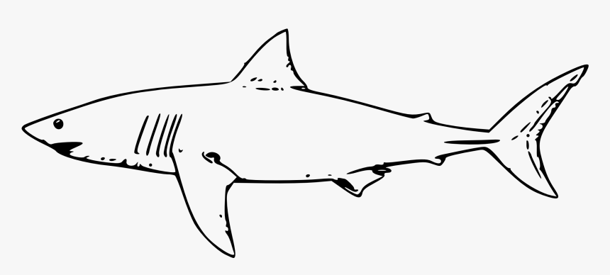 shark jaws outline