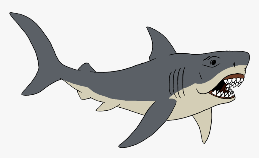 D6g7y2m 9294ffd8 1438 4082 9b25 A8a7c91a4c4e - Tiger Shark Cartoon, HD Png Download, Free Download