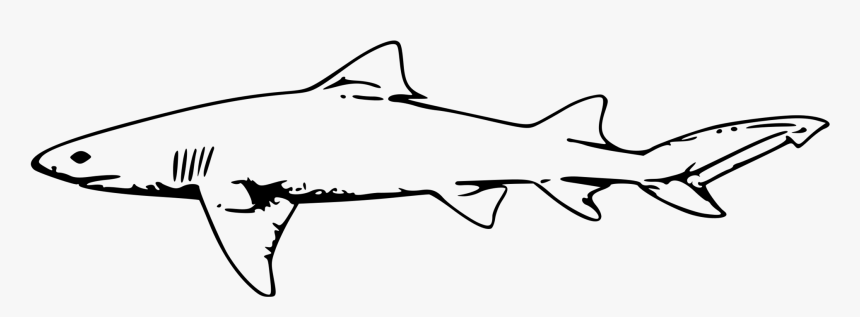 Shark,monochrome Photography,fish - Lemon Shark Clipart, HD Png Download, Free Download