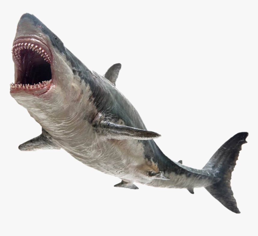 #shark #monster #killer #鲨鱼 #jaws #megalodon - Pnso Megalodon Toy, HD Png Download, Free Download