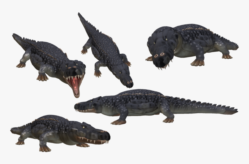 Saltwater Crocodile Png Photo - Spore Crocodile, Transparent Png, Free Download