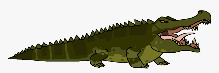 American Alligator - Cartoon, HD Png Download, Free Download