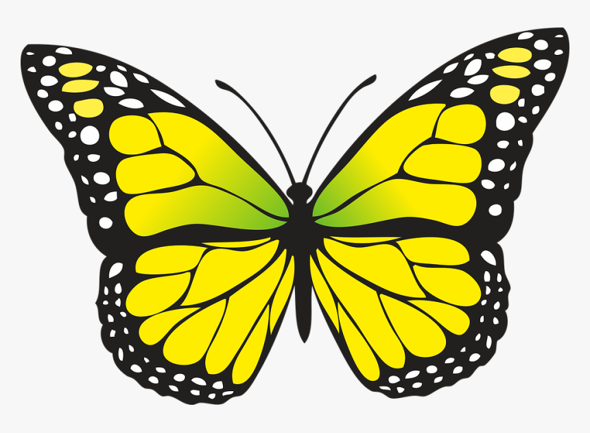 7 Photo - Yellow Butterfly Clipart, HD Png Download, Free Download