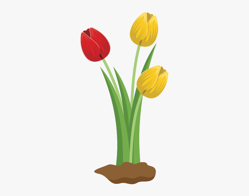 Tulips - Big Flowers Clip Art, HD Png Download, Free Download